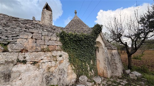 Ad 1 Km dal Paese, Trulli con Conversa e Terreno di 14.000 mq ca.